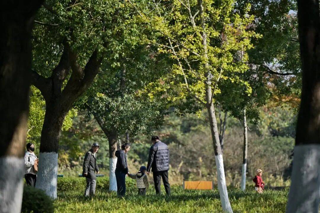转!这天气温要超20℃PG电子麻将胡了大反(图3) 转!这天气温要超20℃PG电子麻将胡了大反(图3)
