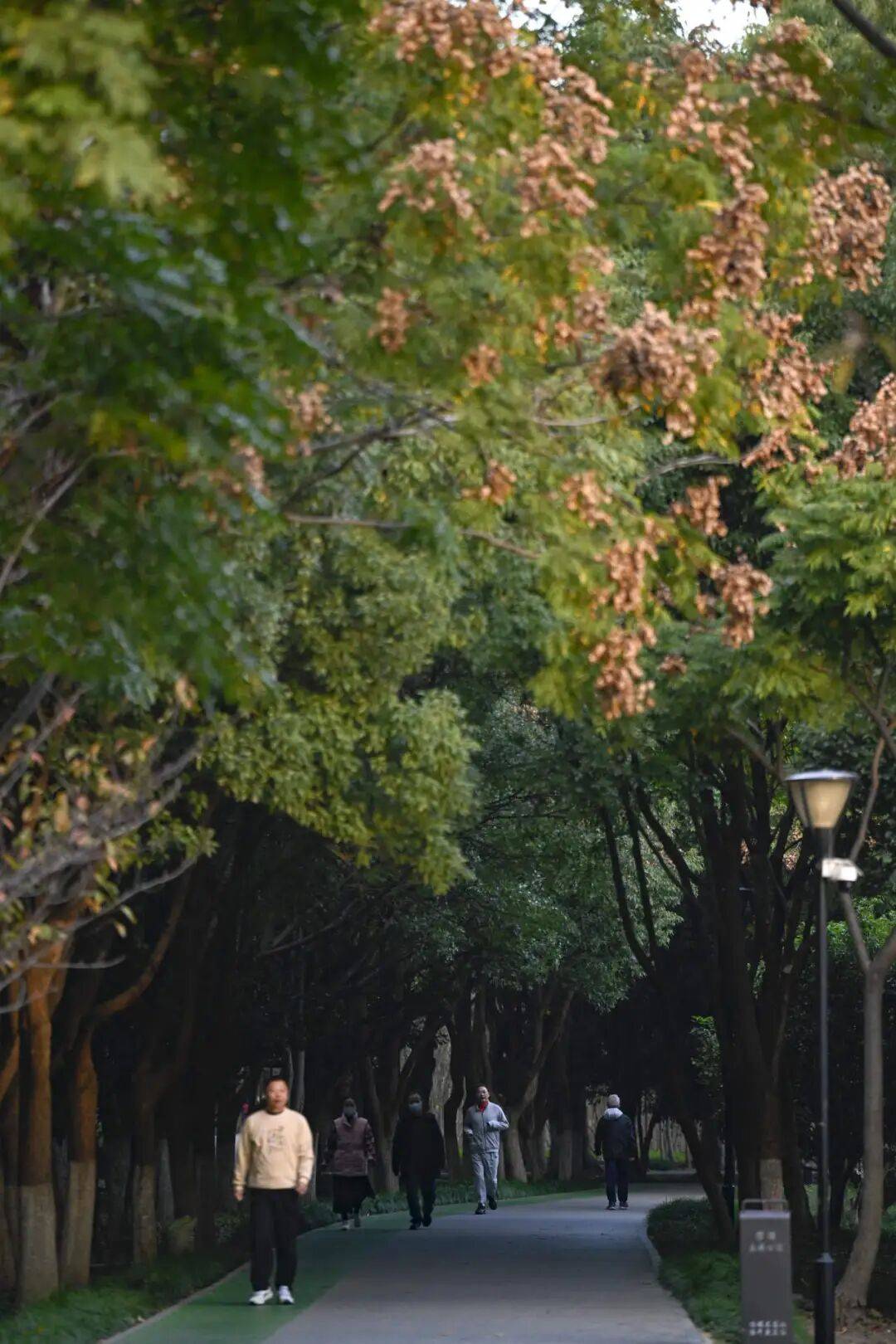 转!这天气温要超20℃PG电子麻将胡了大反(图4) 转!这天气温要超20℃PG电子麻将胡了大反(图4)